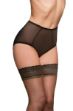 Picture of Nylon Dreams Vintage Style Retro Pin Up Betty Sheer Knickers